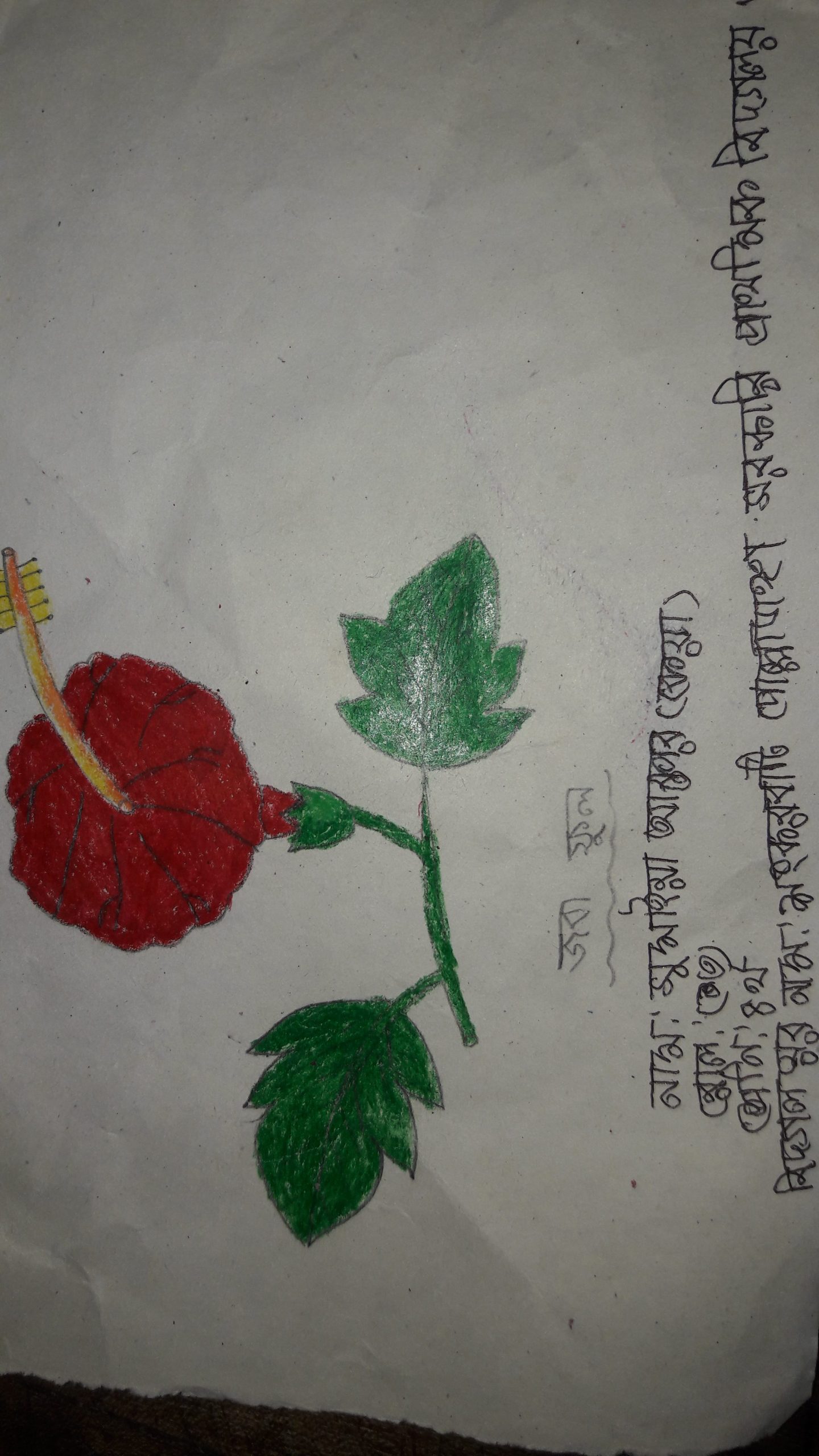 ছবি
